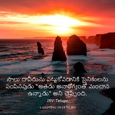 Picture 03 - 1 సమూయేలు 19:14 TELIRV - సౌలు దావీదును - Bible Verse Picture
