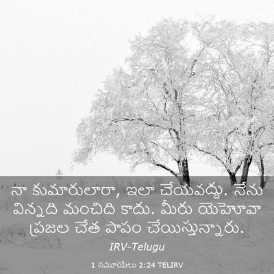 Picture 03 - 1 సమూయేలు 2:24 TELIRV - నా కుమారులారా, ఇలా - Bible Verse Picture