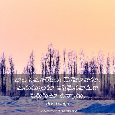 Picture 03 - 1 సమూయేలు 2:26 TELIRV - బాల సమూయేలు - Bible Verse Picture