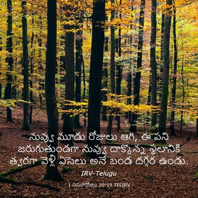 Picture 03 - 1 సమూయేలు 20:19 TELIRV - నువ్వు మూడు - Bible Verse Picture