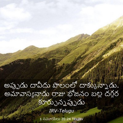 Picture 03 - 1 సమూయేలు 20:24 TELIRV - అప్పుడు దావీదు - Bible Verse Picture