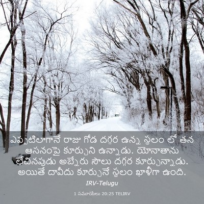 Picture 03 - 1 సమూయేలు 20:25 TELIRV - ఎప్పటిలాగానే రాజు - Bible Verse Picture