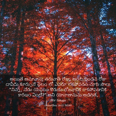Picture 03 - 1 సమూయేలు 20:27 TELIRV - అయితే అమావాస్య - Bible Verse Picture