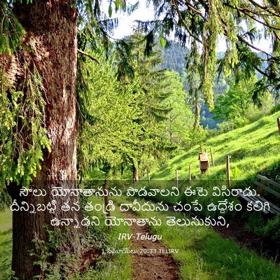 Picture 03 - 1 సమూయేలు 20:33 TELIRV - సౌలు యోనాతానును - Bible Verse Picture