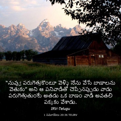 Picture 03 - 1 సమూయేలు 20:36 TELIRV - “నువ్వు - Bible Verse Picture