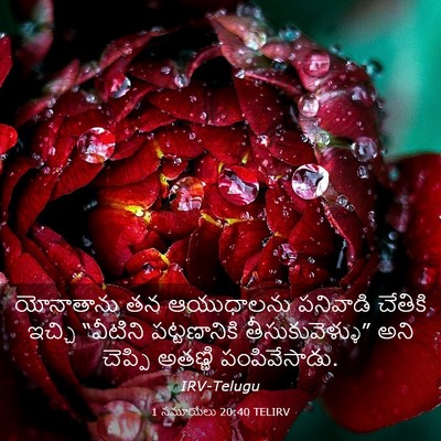 Picture 03 - 1 సమూయేలు 20:40 TELIRV - యోనాతాను తన - Bible Verse Picture