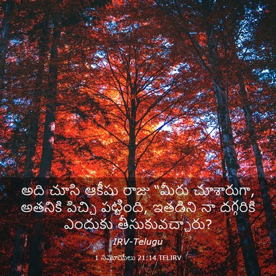 Picture 03 - 1 సమూయేలు 21:14 TELIRV - అది చూసి ఆకీషు - Bible Verse Picture