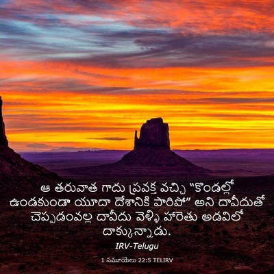 Picture 03 - 1 సమూయేలు 22:5 TELIRV - ఆ తరువాత గాదు - Bible Verse Picture