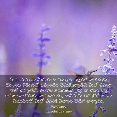 Picture 03 - 1 సమూయేలు 22:8 TELIRV - మీరెందుకు నా మీద - Bible Verse Picture