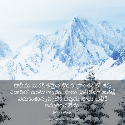 Picture 03 - 1 సమూయేలు 23:14 TELIRV - దావీదు - Bible Verse Picture