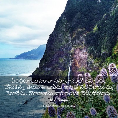 Picture 03 - 1 సమూయేలు 23:18 TELIRV - వీరిద్దరూ యెహోవా - Bible Verse Picture