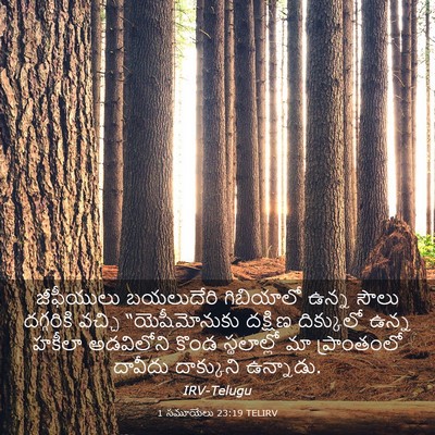 Picture 03 - 1 సమూయేలు 23:19 TELIRV - జీఫీయులు బయలుదేరి - Bible Verse Picture