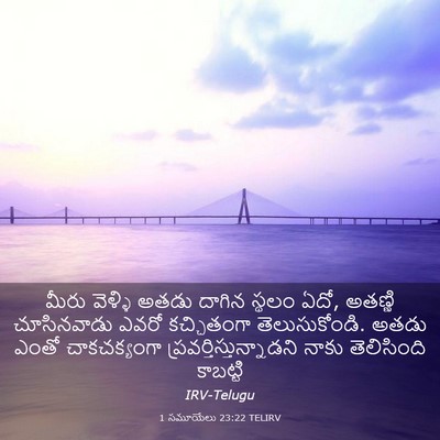 Picture 03 - 1 సమూయేలు 23:22 TELIRV - మీరు వెళ్ళి అతడు - Bible Verse Picture