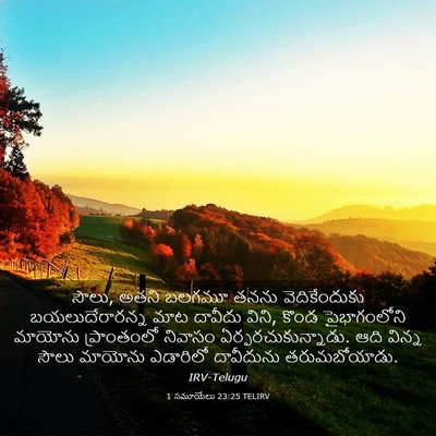 Picture 03 - 1 సమూయేలు 23:25 TELIRV - సౌలు, అతని బలగమూ - Bible Verse Picture