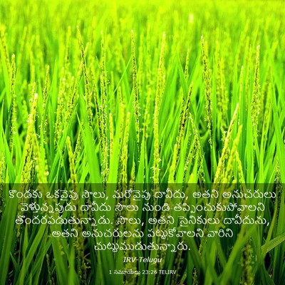 Picture 03 - 1 సమూయేలు 23:26 TELIRV - కొండకు ఒకవైపు - Bible Verse Picture