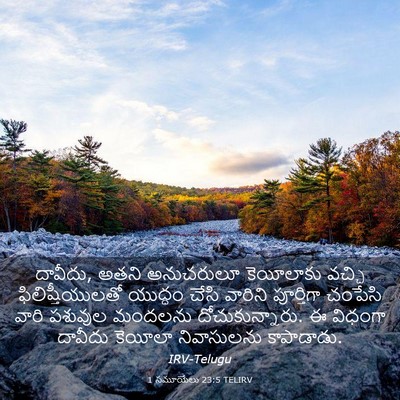 Picture 03 - 1 సమూయేలు 23:5 TELIRV - దావీదు, అతని - Bible Verse Picture