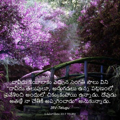 Picture 03 - 1 సమూయేలు 23:7 TELIRV - దావీదు కెయీలాకు - Bible Verse Picture