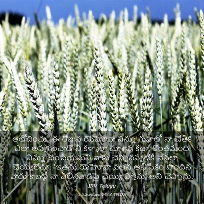 Picture 03 - 1 సమూయేలు 24:10 TELIRV - ఆలోచించు. ఈ రోజున - Bible Verse Picture