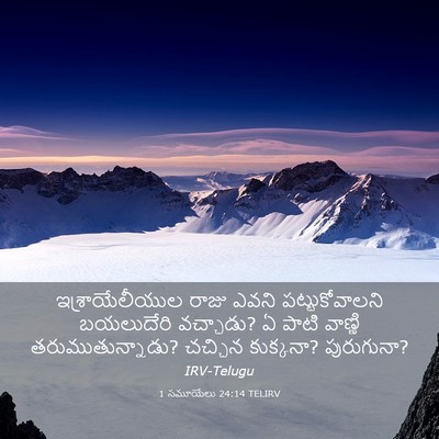 Picture 03 - 1 సమూయేలు 24:14 TELIRV - ఇశ్రాయేలీయుల రాజు - Bible Verse Picture
