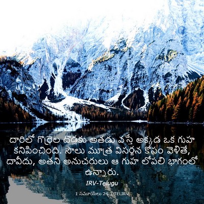 Picture 03 - 1 సమూయేలు 24:3 TELIRV - దారిలో గొర్రెల - Bible Verse Picture