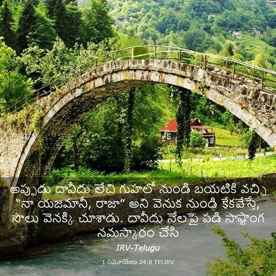 Picture 03 - 1 సమూయేలు 24:8 TELIRV - అప్పుడు దావీదు - Bible Verse Picture