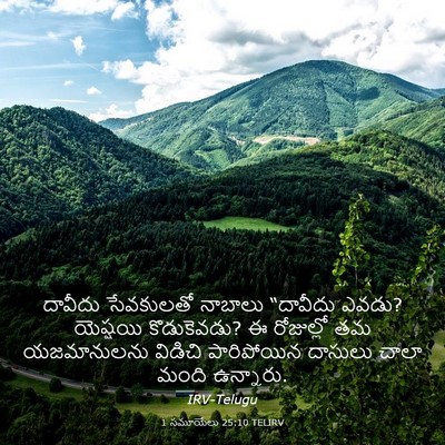 Picture 03 - 1 సమూయేలు 25:10 TELIRV - దావీదు సేవకులతో - Bible Verse Picture