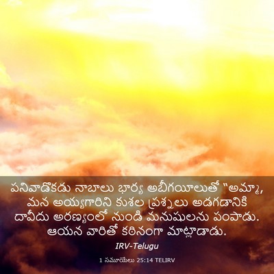 Picture 03 - 1 సమూయేలు 25:14 TELIRV - పనివాడొకడు నాబాలు - Bible Verse Picture