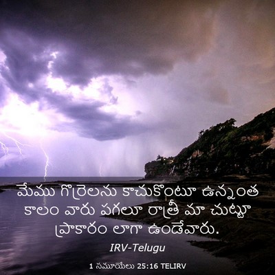 Picture 03 - 1 సమూయేలు 25:16 TELIRV - మేము గొర్రెలను - Bible Verse Picture