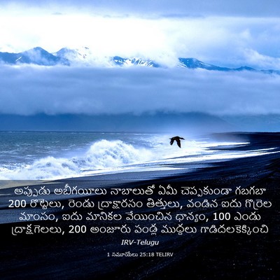 Picture 03 - 1 సమూయేలు 25:18 TELIRV - అప్పుడు అబీగయీలు - Bible Verse Picture