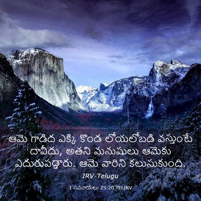 Picture 03 - 1 సమూయేలు 25:20 TELIRV - ఆమె గాడిద ఎక్కి - Bible Verse Picture