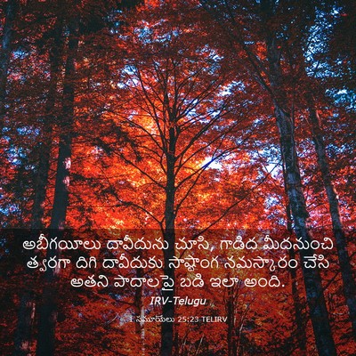 Picture 03 - 1 సమూయేలు 25:23 TELIRV - అబీగయీలు దావీదును - Bible Verse Picture