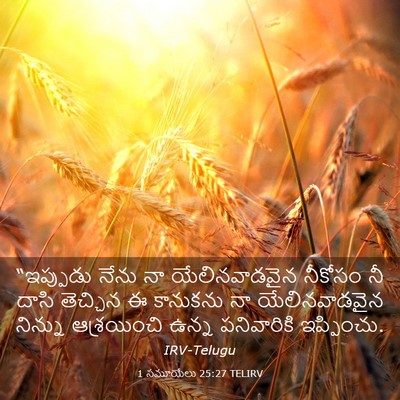 Picture 03 - 1 సమూయేలు 25:27 TELIRV - “ఇప్పుడు నేను నా - Bible Verse Picture