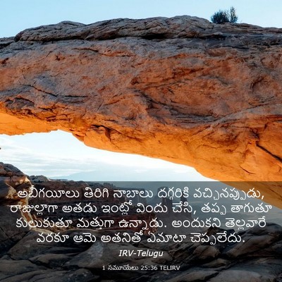 Picture 03 - 1 సమూయేలు 25:36 TELIRV - అబీగయీలు తిరిగి - Bible Verse Picture