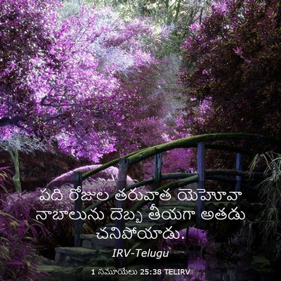 Picture 03 - 1 సమూయేలు 25:38 TELIRV - పది రోజుల తరువాత - Bible Verse Picture