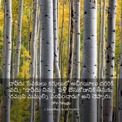 Picture 03 - 1 సమూయేలు 25:40 TELIRV - దావీదు సేవకులు - Bible Verse Picture