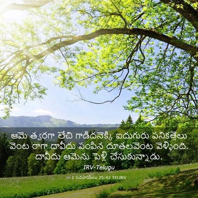 Picture 03 - 1 సమూయేలు 25:42 TELIRV - ఆమె త్వరగా లేచి - Bible Verse Picture