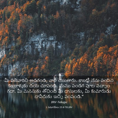 Picture 03 - 1 సమూయేలు 25:8 TELIRV - మీ పనివారిని - Bible Verse Picture