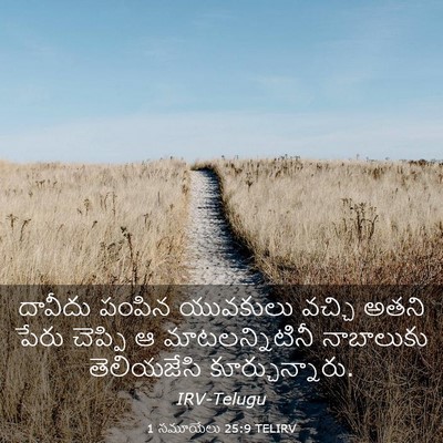 Picture 03 - 1 సమూయేలు 25:9 TELIRV - దావీదు పంపిన - Bible Verse Picture