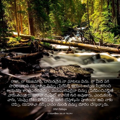 Picture 03 - 1 సమూయేలు 26:19 TELIRV - రాజా, నా యజమానీ, - Bible Verse Picture