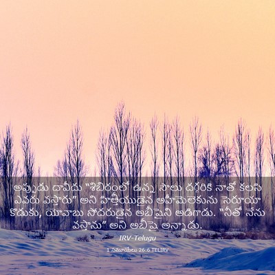 Picture 03 - 1 సమూయేలు 26:6 TELIRV - అప్పుడు దావీదు - Bible Verse Picture