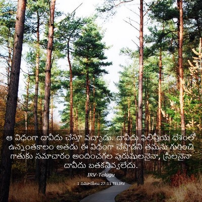 Picture 03 - 1 సమూయేలు 27:11 TELIRV - ఆ విధంగా దావీదు - Bible Verse Picture