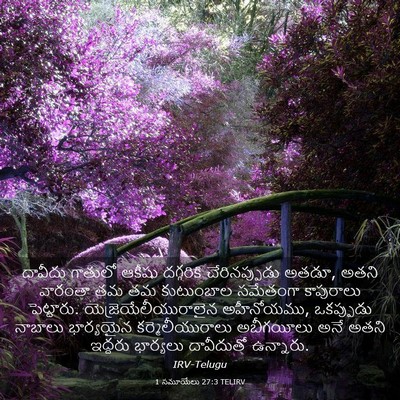 Picture 03 - 1 సమూయేలు 27:3 TELIRV - దావీదు గాతులో - Bible Verse Picture