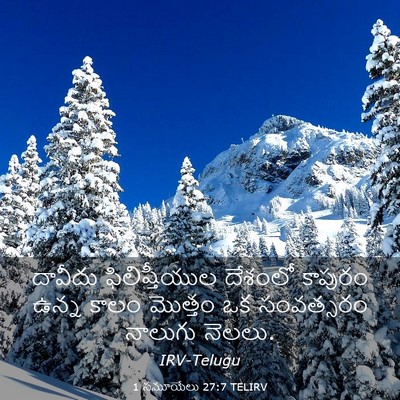 Picture 03 - 1 సమూయేలు 27:7 TELIRV - దావీదు - Bible Verse Picture