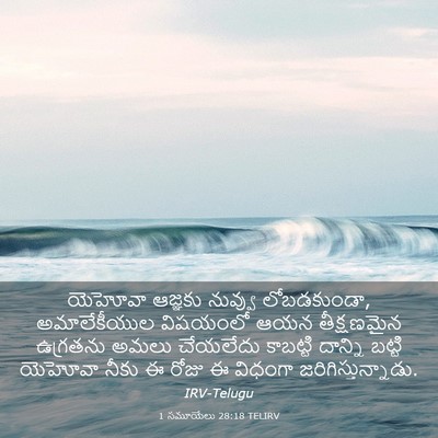 Picture 03 - 1 సమూయేలు 28:18 TELIRV - యెహోవా ఆజ్ఞకు - Bible Verse Picture