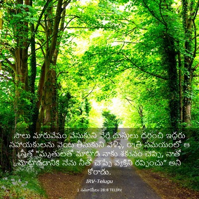 Picture 03 - 1 సమూయేలు 28:8 TELIRV - సౌలు మారువేషం - Bible Verse Picture