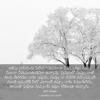 Picture 03 - 1 సమూయేలు 29:6 TELIRV - ఆకీషు దావీదును - Bible Verse Picture