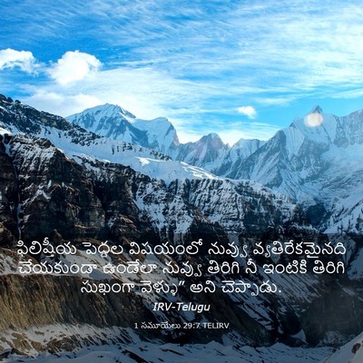 Picture 03 - 1 సమూయేలు 29:7 TELIRV - ఫిలిష్తీయ పెద్దల - Bible Verse Picture
