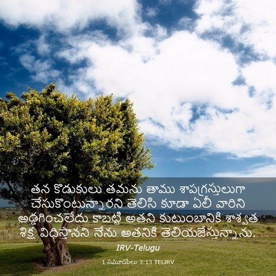 Picture 03 - 1 సమూయేలు 3:13 TELIRV - తన కొడుకులు తమను - Bible Verse Picture