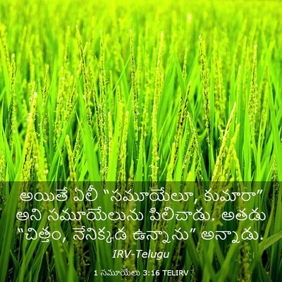 Picture 03 - 1 సమూయేలు 3:16 TELIRV - అయితే ఏలీ - Bible Verse Picture