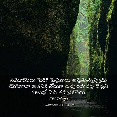 Picture 03 - 1 సమూయేలు 3:19 TELIRV - సమూయేలు పెరిగి - Bible Verse Picture